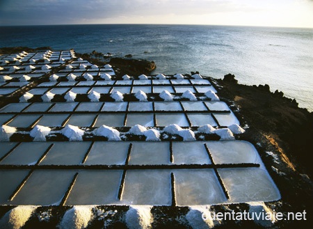 Salinas de Fuencaliente, sitio de Interés Científico. La Palma.